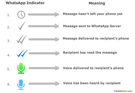 whatsapp read status|check your whatsapp messages.